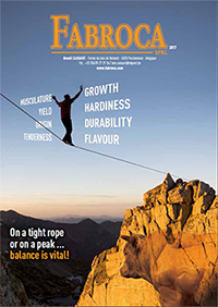 Fabroca Catalog 2017