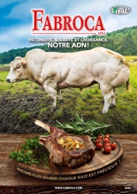 Catalogue Fabroca 2026